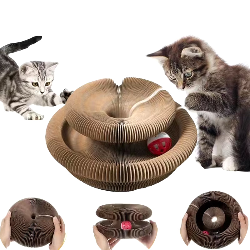 Magic Cat Toy Ball Kitten Game Training Fun Shapes Corrugated House