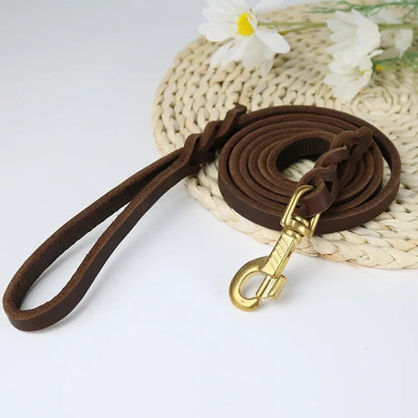Genuine Leather Dog Leash – Braided Long Lead for Medium/Large