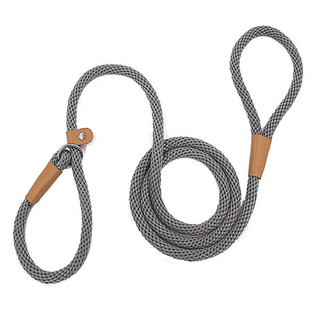 Adjustable No-Pull Nylon Slip Lead Leash for Medium & Large Dogs