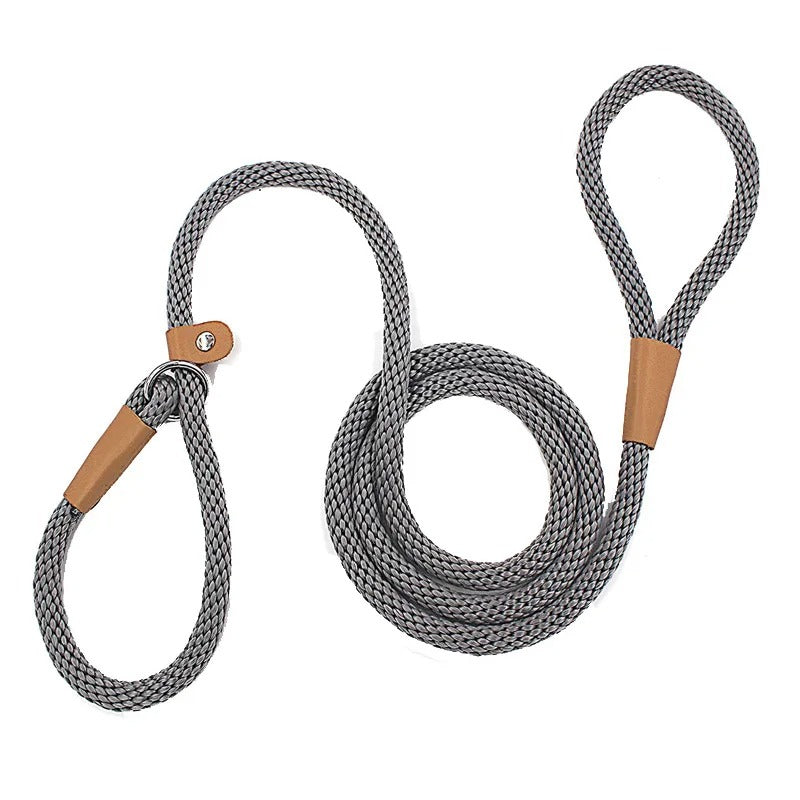 Adjustable No-Pull Nylon Slip Lead Leash for Medium & Large Dogs