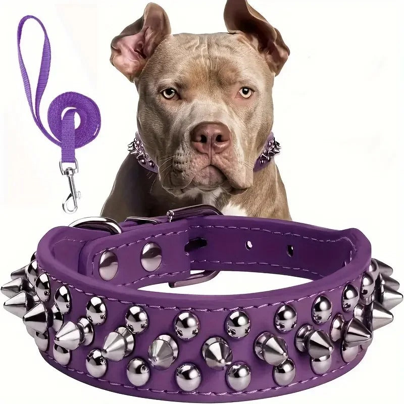 Spiked Leather Dog Collar & Leash Set for Walking