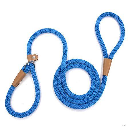 Adjustable No-Pull Nylon Slip Lead Leash for Medium & Large Dogs