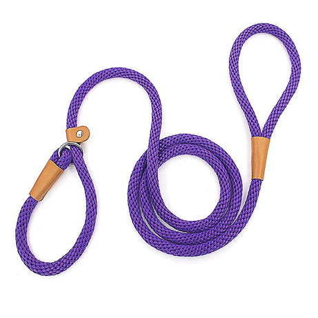 Adjustable No-Pull Nylon Slip Lead Leash for Medium & Large Dogs