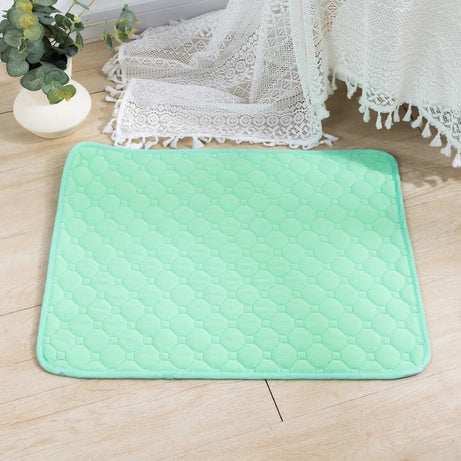 Reusable Absorbent Dog Pee Pad Blanket for Puppy Training