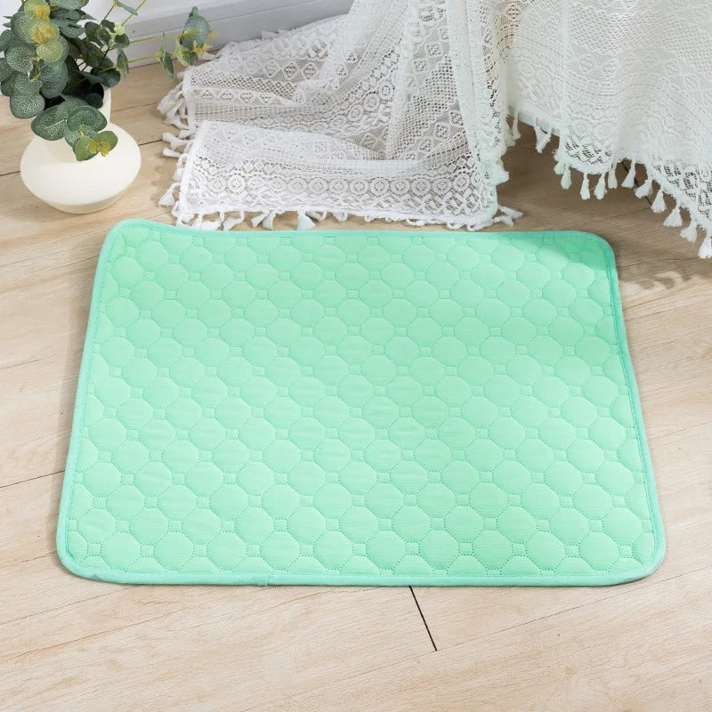 Reusable Absorbent Dog Pee Pad Blanket for Puppy Training