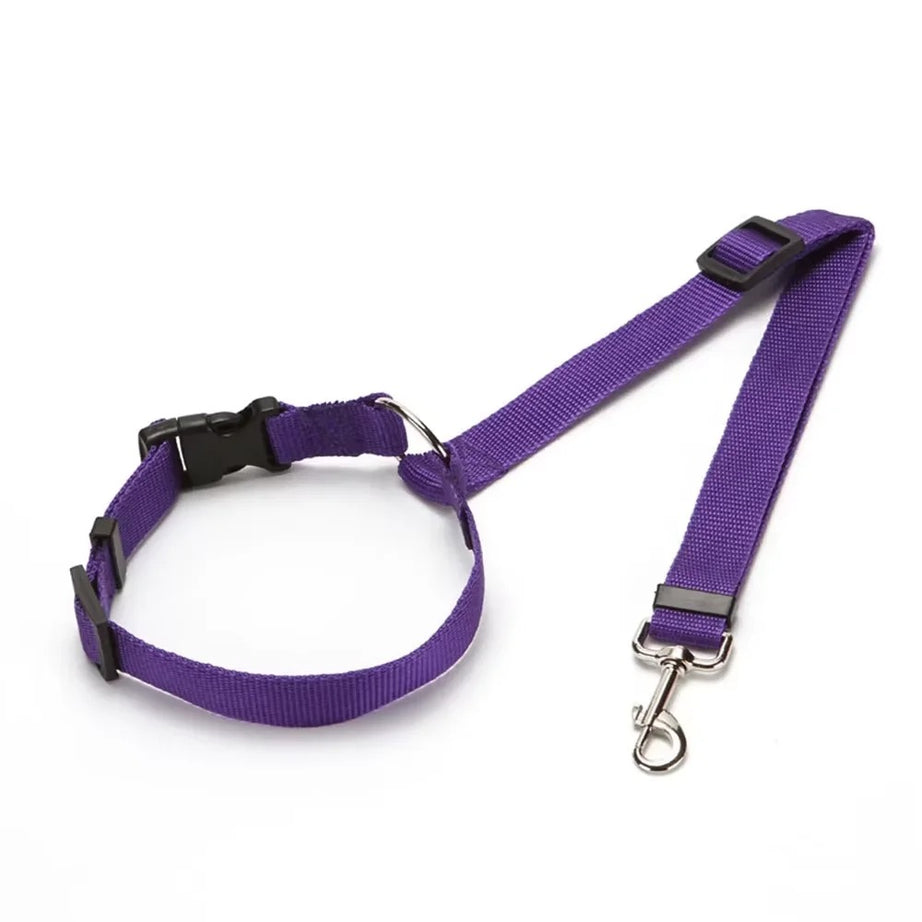 2-in-1 Dog Car Seat Belt & Leash – Adjustable Nylon Strap