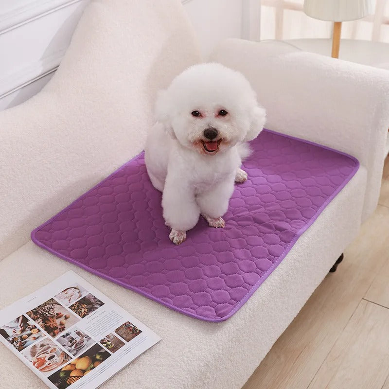 Reusable Absorbent Dog Pee Pad Blanket for Puppy Training