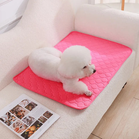 Reusable Absorbent Dog Pee Pad Blanket for Puppy Training