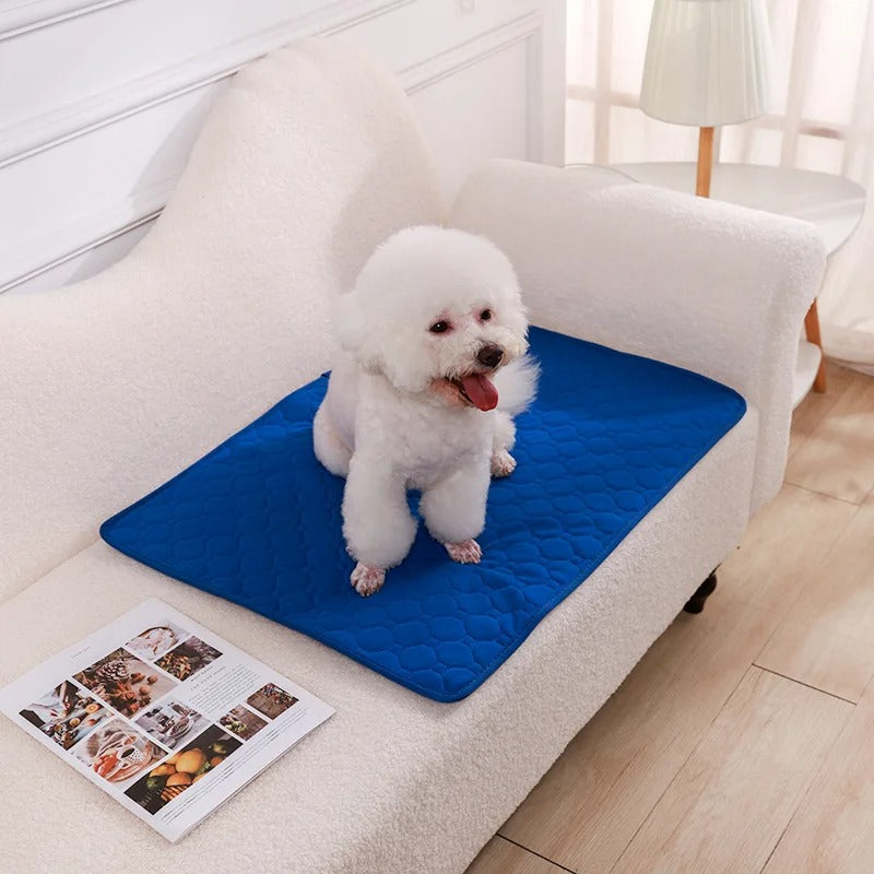 Reusable Absorbent Dog Pee Pad Blanket for Puppy Training