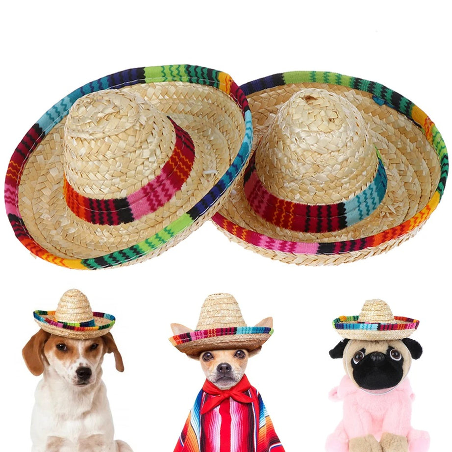 Colorful Pet Straw Hat – Dog Cat Sombrero for Beach Party