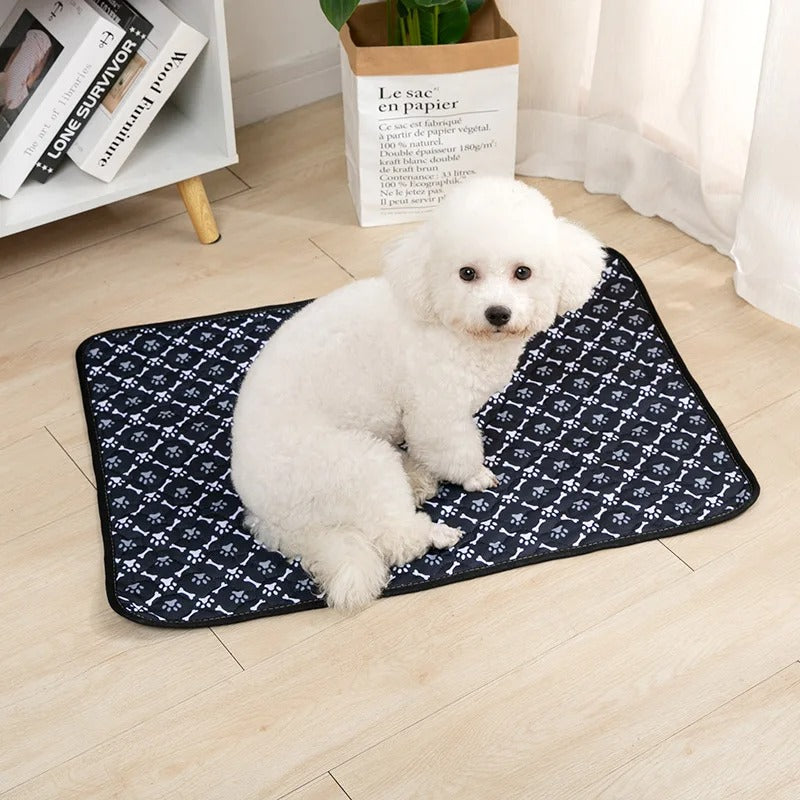 Reusable Absorbent Dog Pee Pad Blanket for Puppy Training