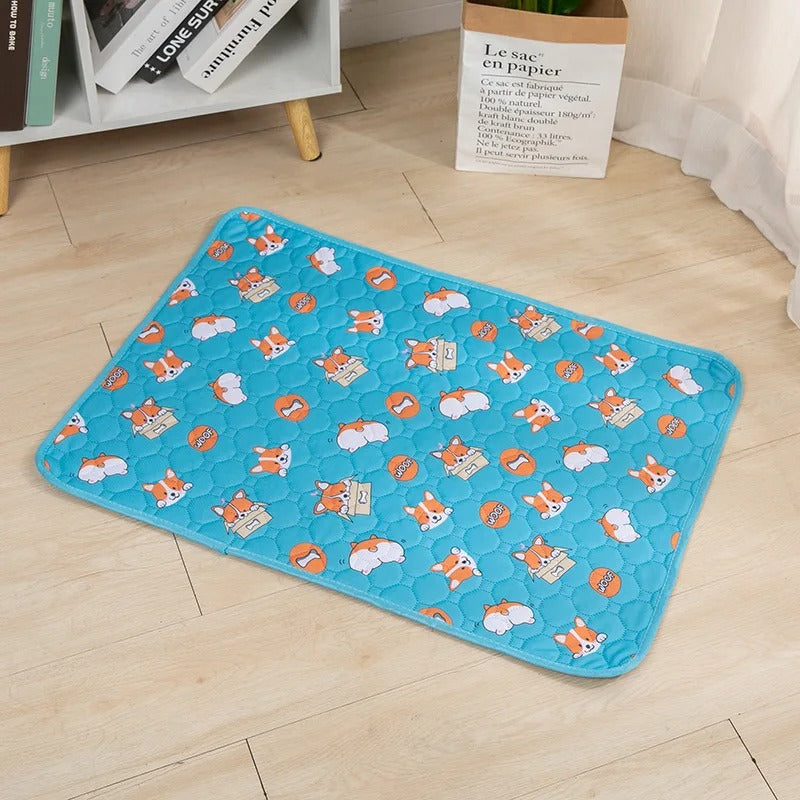 Reusable Absorbent Dog Pee Pad Blanket for Puppy Training