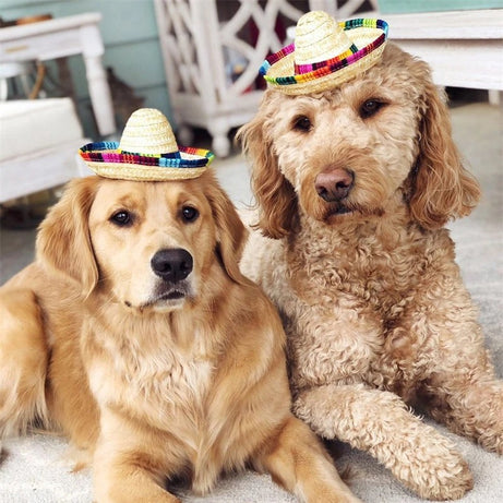 Colorful Pet Straw Hat – Dog Cat Sombrero for Beach Party