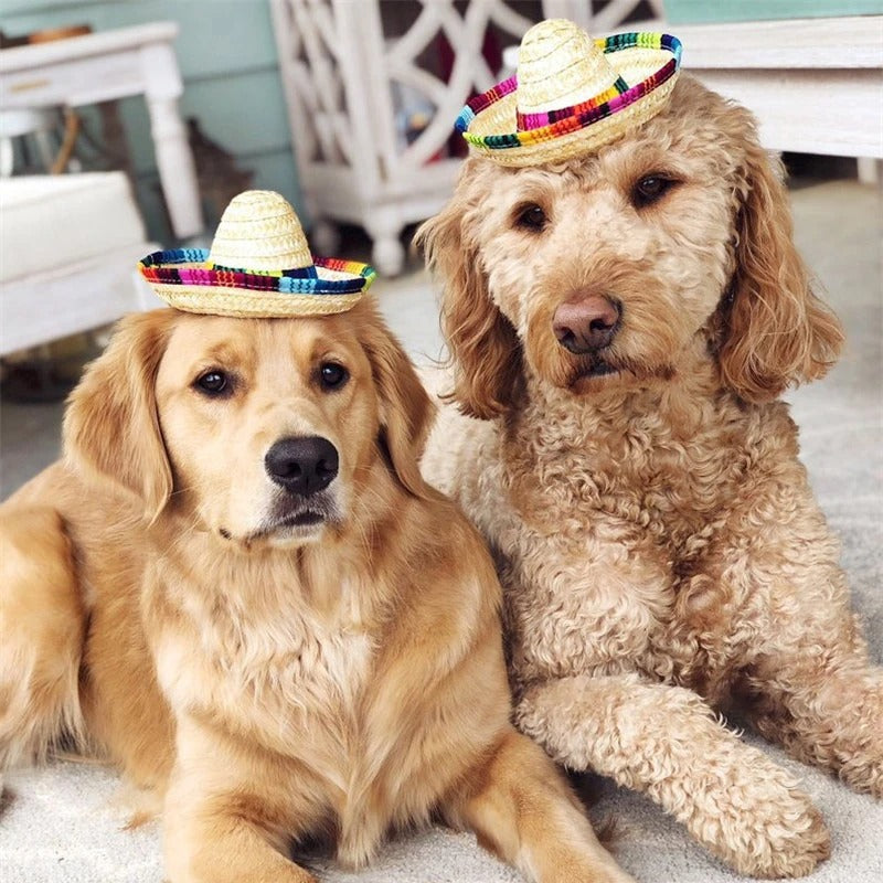 Colorful Pet Straw Hat – Dog Cat Sombrero for Beach Party