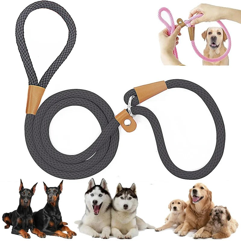 Adjustable No-Pull Nylon Slip Lead Leash for Medium & Large Dogs