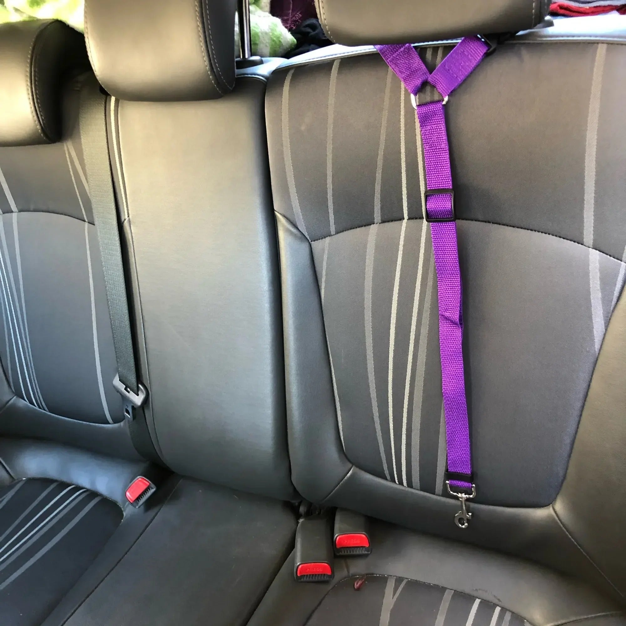 2-in-1 Dog Car Seat Belt & Leash – Adjustable Nylon Strap