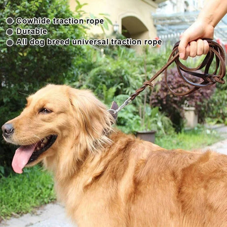 Genuine Leather Dog Leash – Braided Long Lead for Medium/Large