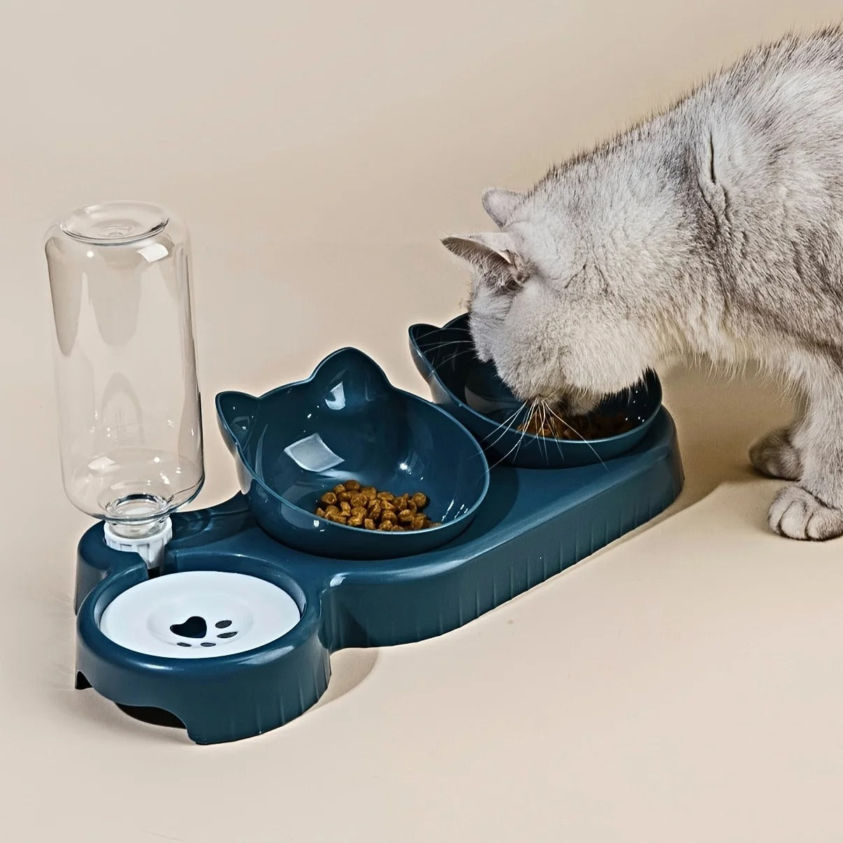 3-in-1 Tilted Cat Bowl Set with Water Feeder & Bottle
