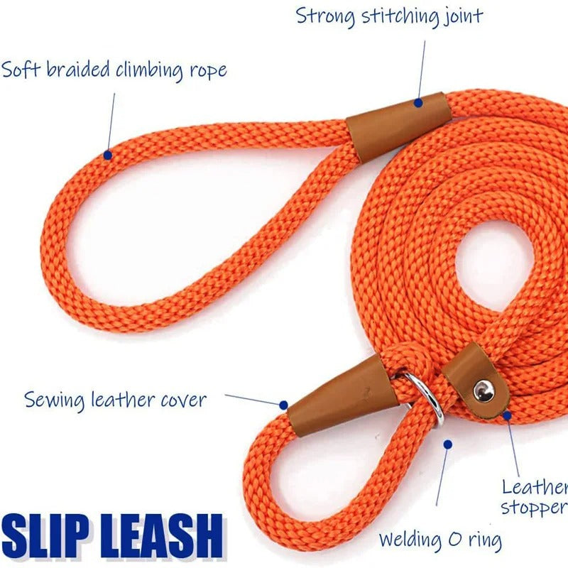 Adjustable No-Pull Nylon Slip Lead Leash for Medium & Large Dogs
