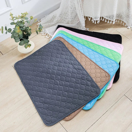 Reusable Absorbent Dog Pee Pad Blanket for Puppy Training