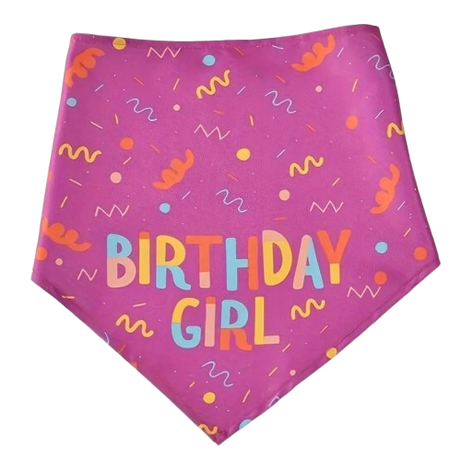 Dog Birthday Party Triangle Bib Scarf - Happy Birthday Pet Gear