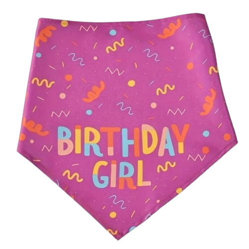 Dog Birthday Party Triangle Bib Scarf - Happy Birthday Pet Gear