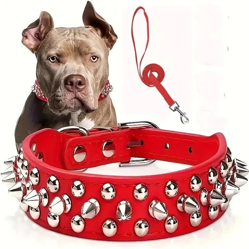 Spiked Leather Dog Collar & Leash Set for Walking