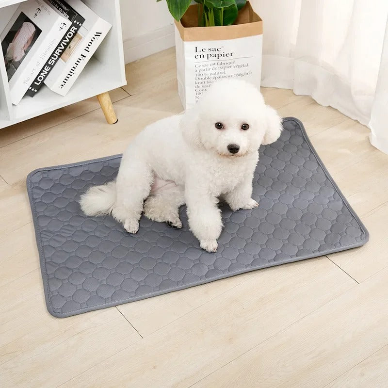 Reusable Absorbent Dog Pee Pad Blanket for Puppy Training