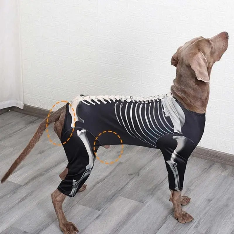 Dog Skeleton Hoodie – Four-Leg Pet Pullover Costume