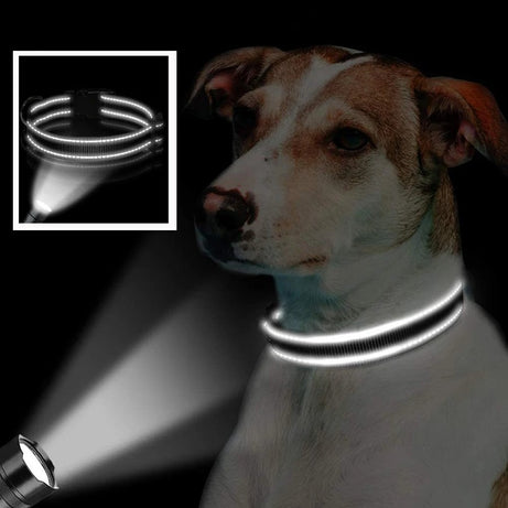Reflective Adjustable Dog Collar - Soft, Safe & Cute Fit
