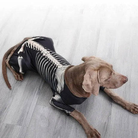 Dog Skeleton Hoodie – Four-Leg Pet Pullover Costume