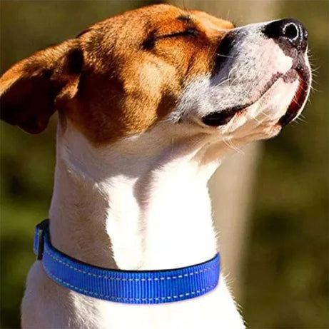Reflective Adjustable Dog Collar - Soft, Safe & Cute Fit