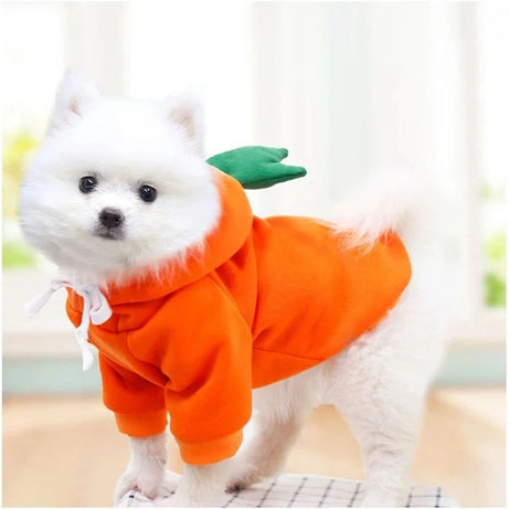 Cute Fleece Dog Hoodie for Small Dogs – Warm Pet Jacket