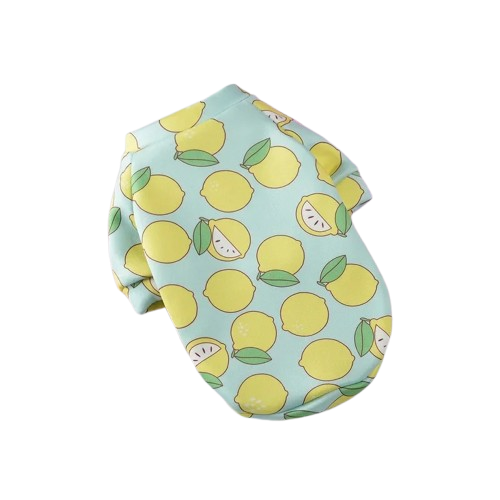 Winter Dog Hoodie Warm Pet Coat for Small Dogs & Cats