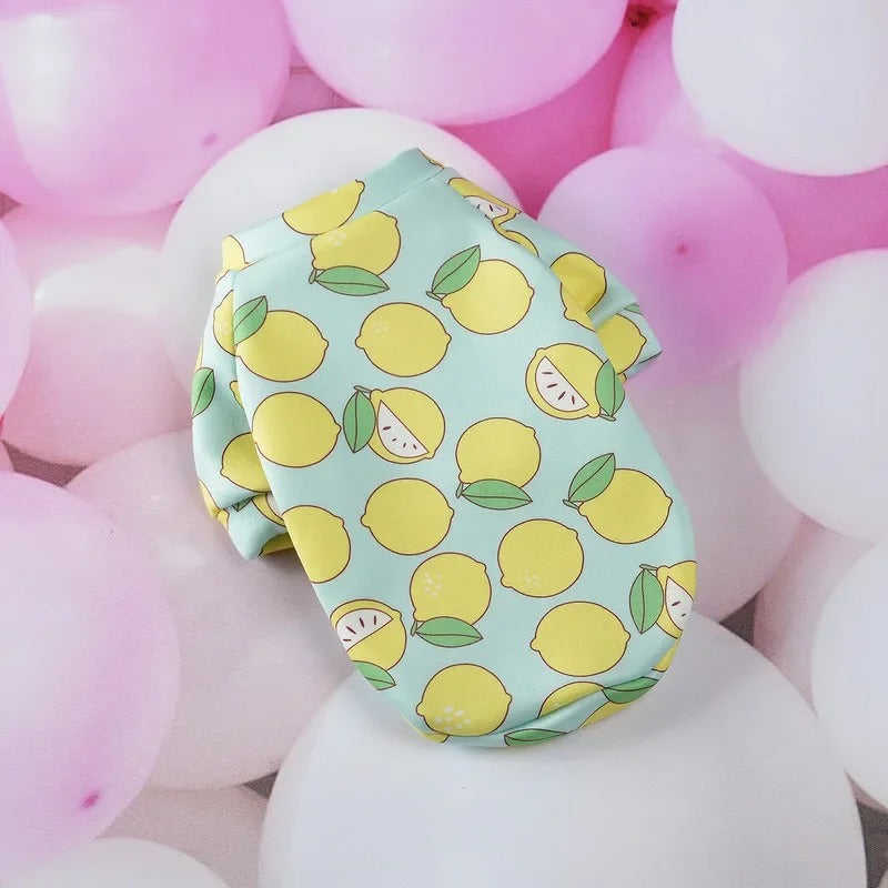 Winter Dog Hoodie Warm Pet Coat for Small Dogs & Cats