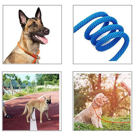 Adjustable No-Pull Nylon Slip Lead Leash for Medium & Large Dogs