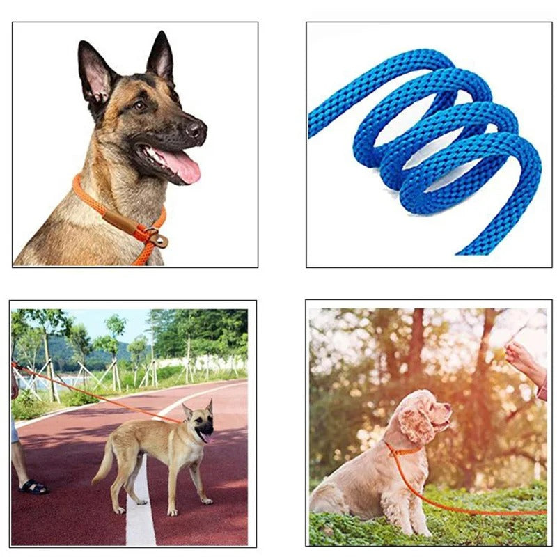 Adjustable No-Pull Nylon Slip Lead Leash for Medium & Large Dogs