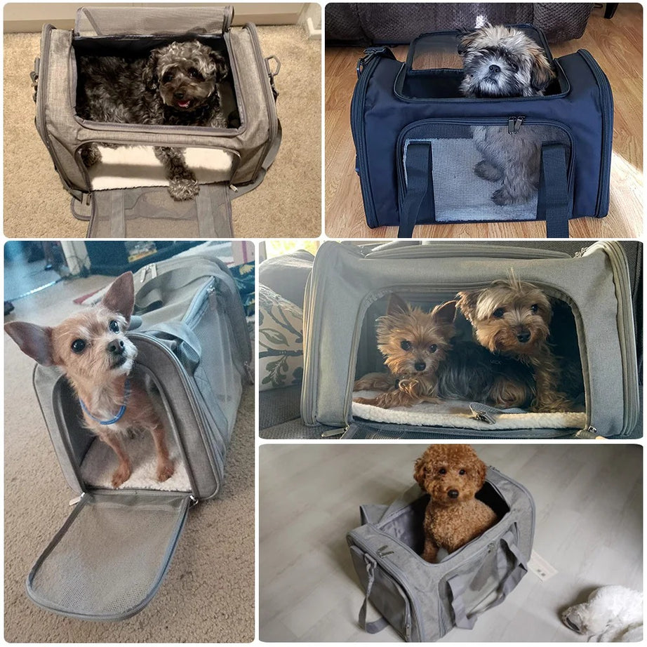 Airline Approved Pet Carrier Bag for Small Dogs & Cats