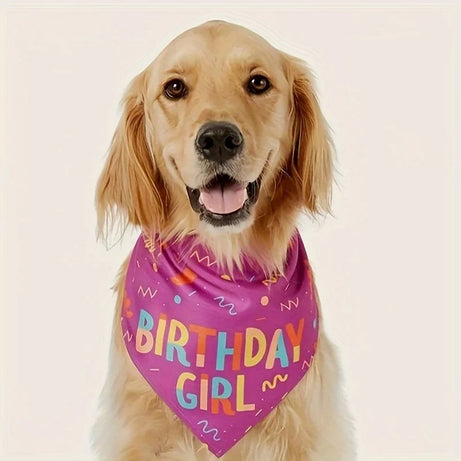 Dog Birthday Party Triangle Bib Scarf - Happy Birthday Pet Gear