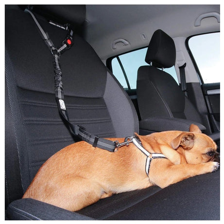 2-in-1 Dog Harness Leash & Car Seat Belt for Pets