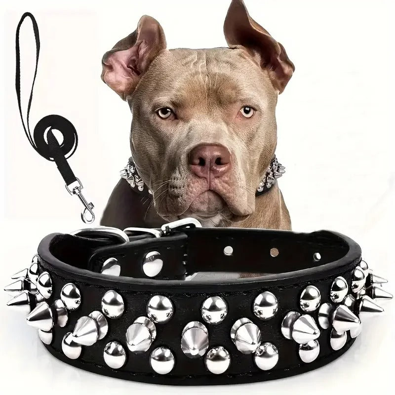 Spiked Leather Dog Collar & Leash Set for Walking
