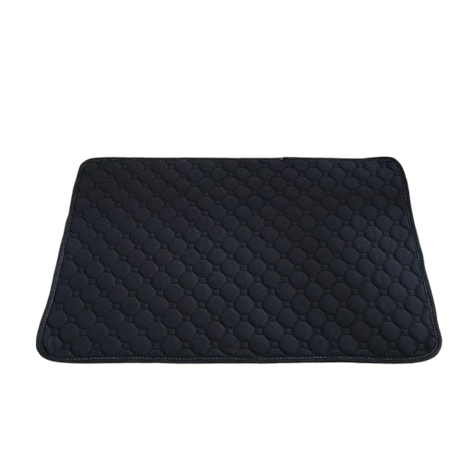 Reusable Absorbent Dog Pee Pad Blanket for Puppy Training