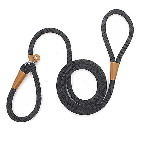 Adjustable No-Pull Nylon Slip Lead Leash for Medium & Large Dogs