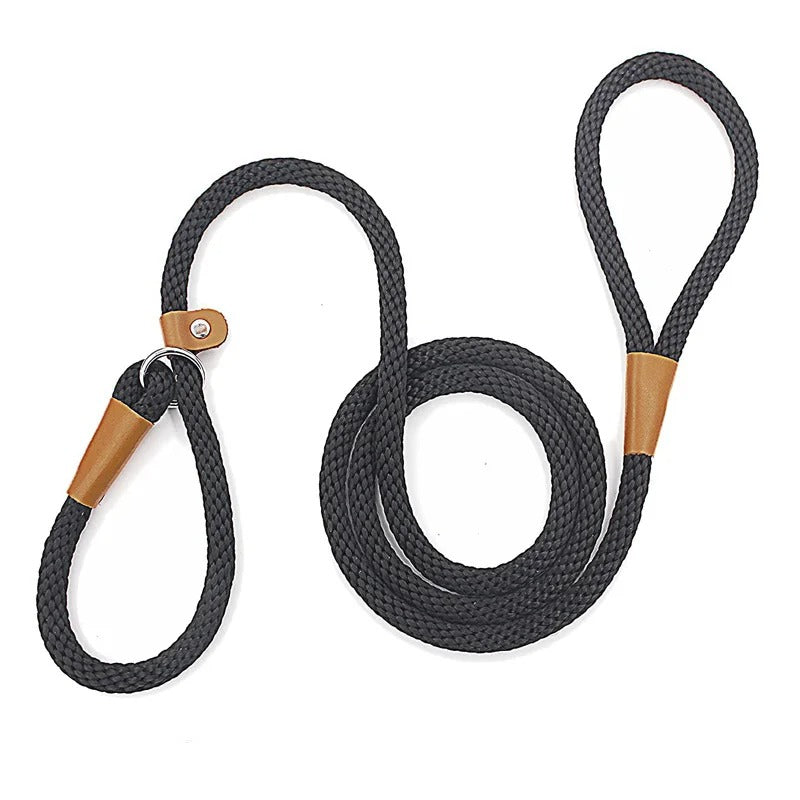 Adjustable No-Pull Nylon Slip Lead Leash for Medium & Large Dogs