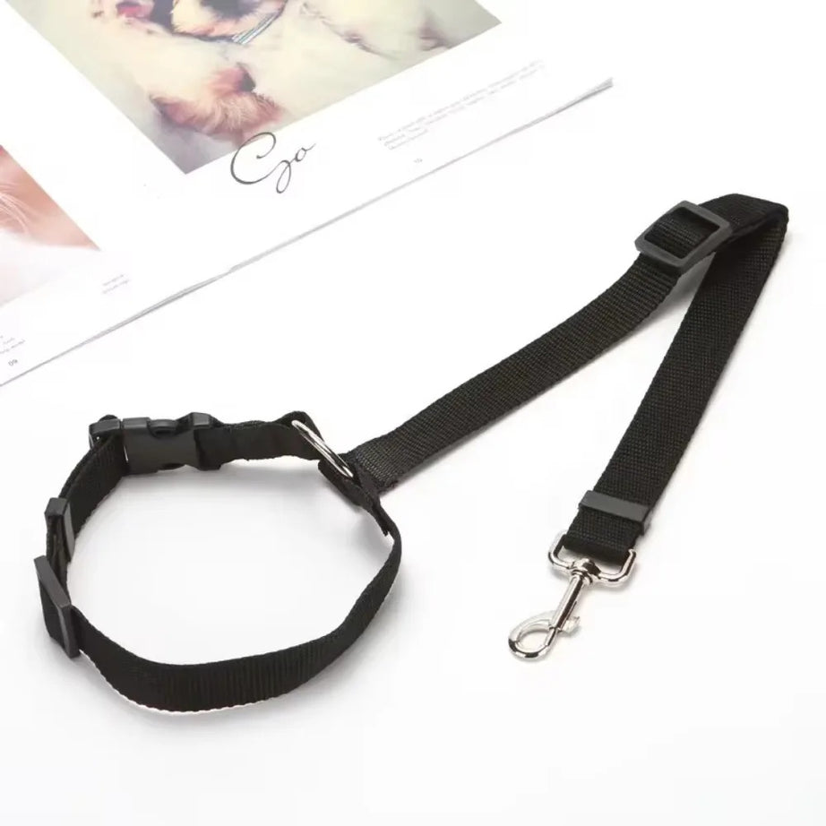 2-in-1 Dog Car Seat Belt & Leash – Adjustable Nylon Strap