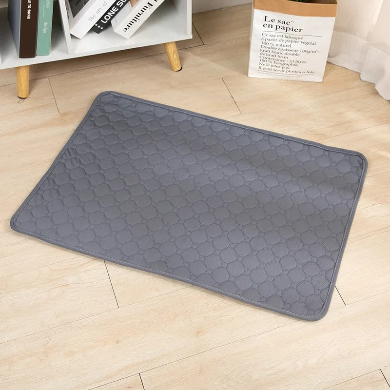 Reusable Absorbent Dog Pee Pad Blanket for Puppy Training