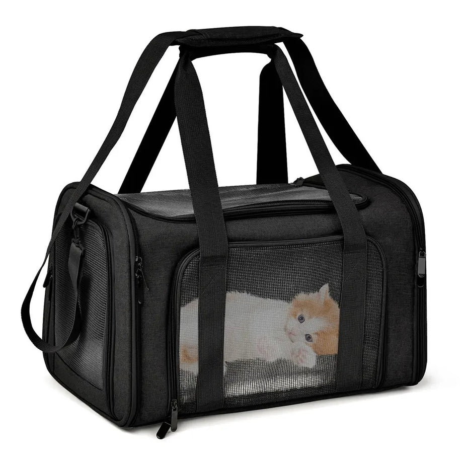 Airline Approved Pet Carrier Bag for Small Dogs & Cats