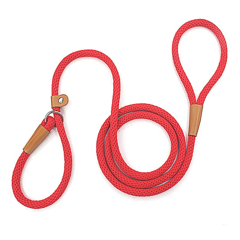 Adjustable No-Pull Nylon Slip Lead Leash for Medium & Large Dogs