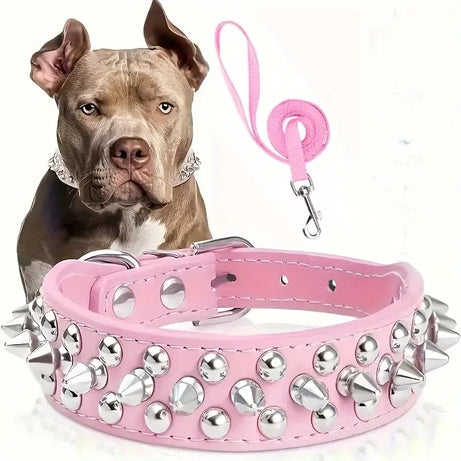Spiked Leather Dog Collar & Leash Set for Walking